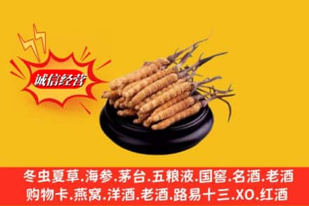 保定安新县求购回收虫草多少钱每克